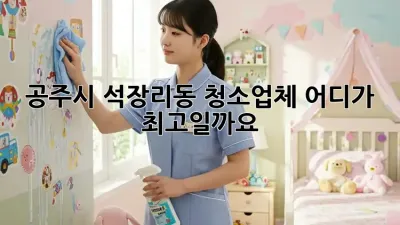 공주시 석장리동 청소업체, 어디가 최고일까요?